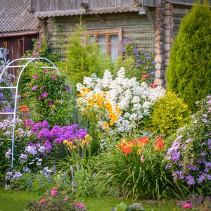 beautiful ornamental garden